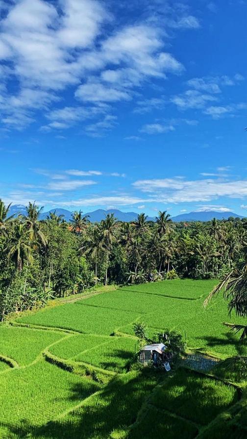 Nirwa Ubud Karma Luaran gambar