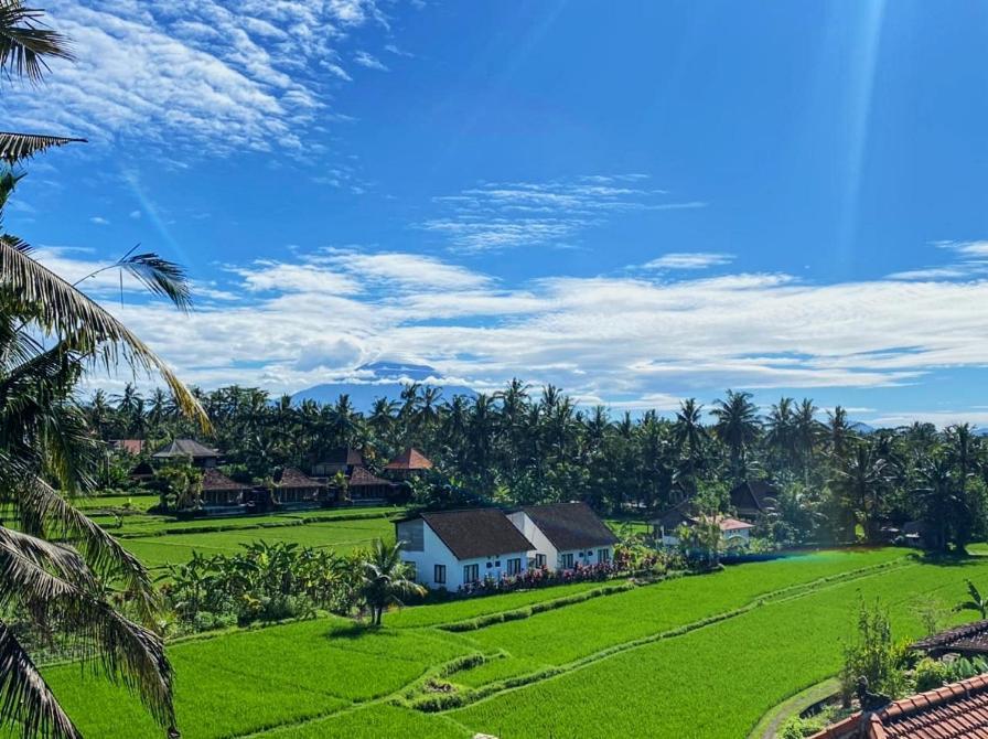 Nirwa Ubud Karma Luaran gambar