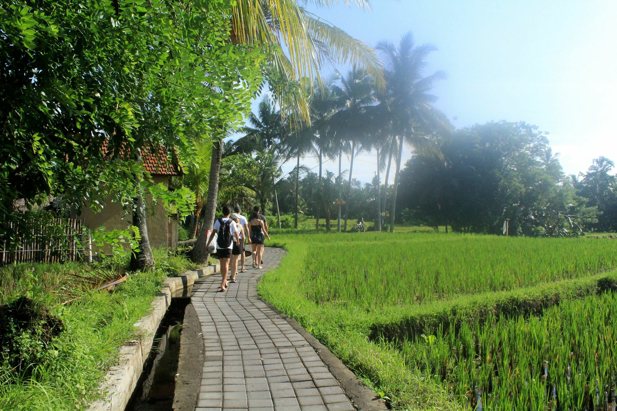 Nirwa Ubud Karma Luaran gambar